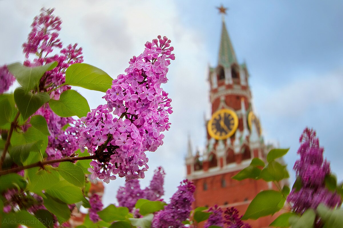 Картинки весна в москве на рабочий стол